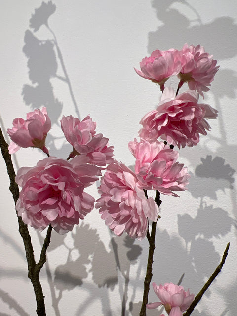 Japanse kersen bloesem pink 164 cm