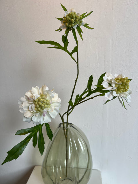 Scabiosa spray wit 62 cm