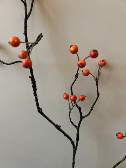 Bessentak oranje 95 cm