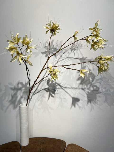 Monarda flower tak 115 cm cream green