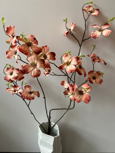 Kornoelje tak zalm 120 cm