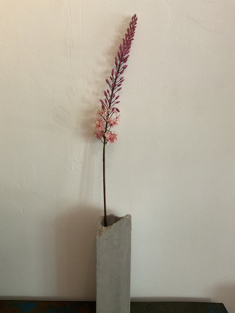 Eremurus steel roze 107 cm