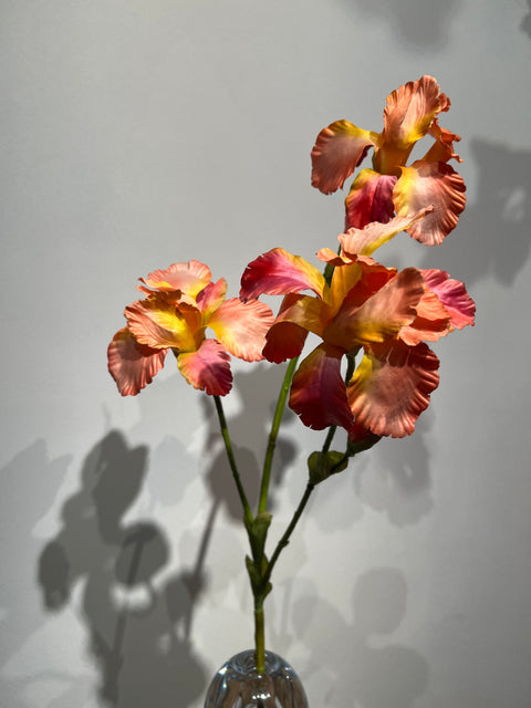 Iris  oranje   82 cm