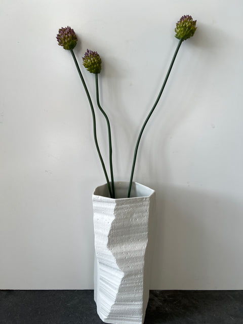 Allium x3  groen/paars 66 cm