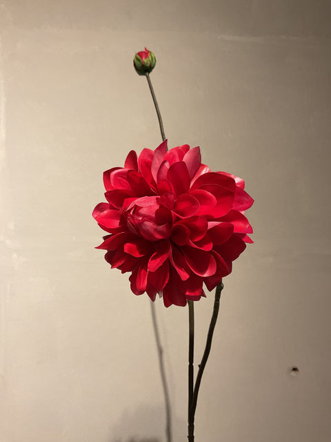 Dahlia tak 86 cm beauty