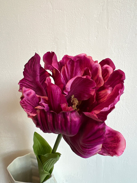 Tulp paris purple 66 cm