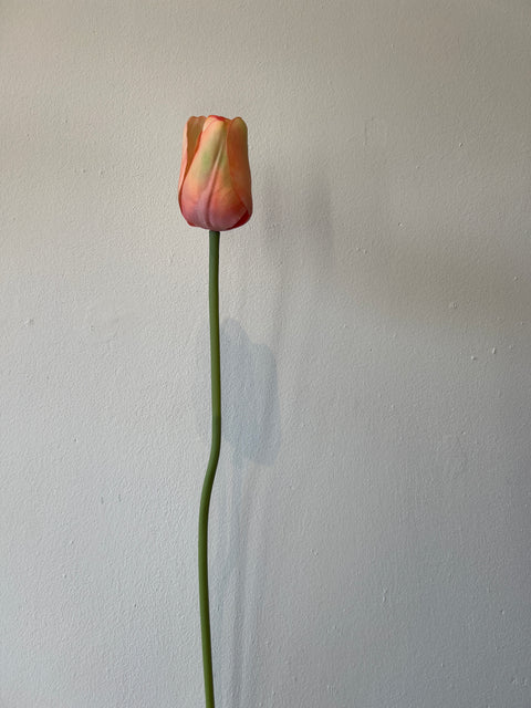 Tulp steel perzik 64 cm