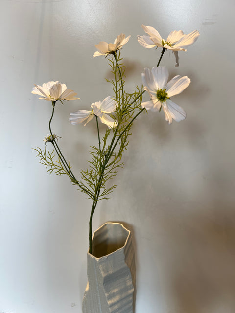 Cosmos wit 75 cm