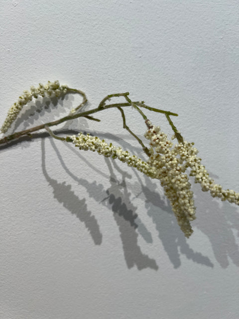 Amaranthus spray cream 90 cm