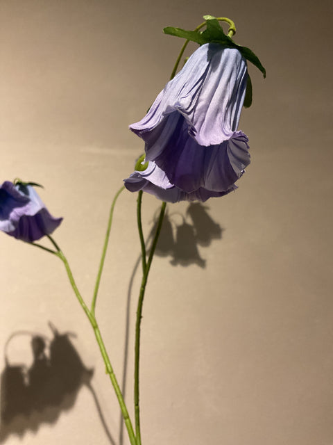 Cobea tak 110 cm lavendel/blauw