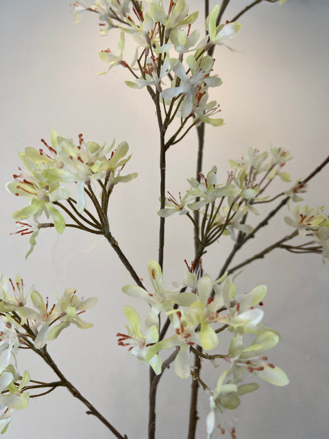 Krenten bloesem tak 154 cm green