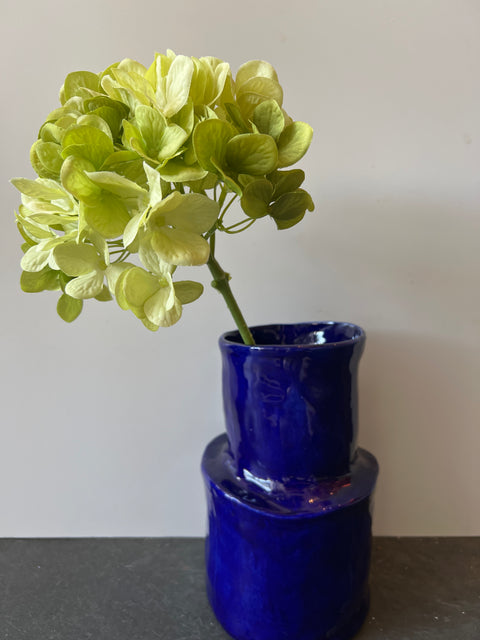Hortensia steel groen  48 cm