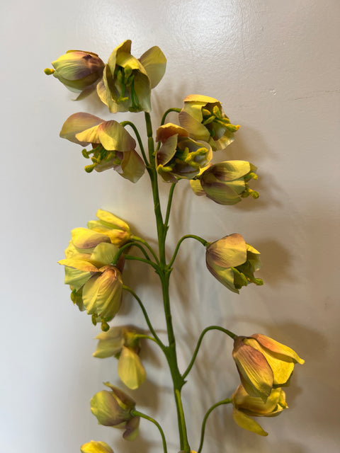 Fritillaria steel bruin/groen 111 cm