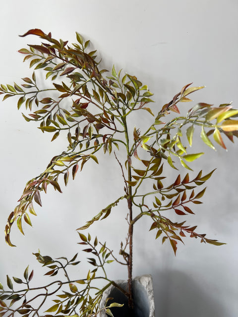 Blad tak Mahonie groen/bruin 99 cm