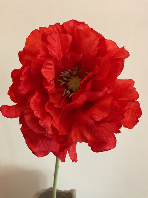 Poppy dubbele rood 73 cm