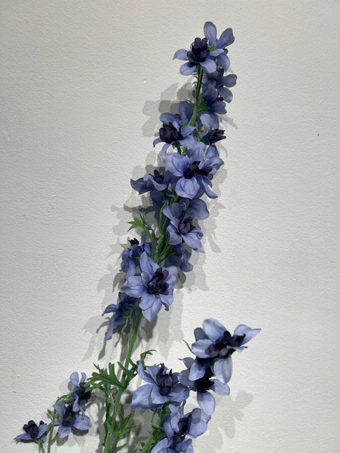 Delphinium 95 cm blauw