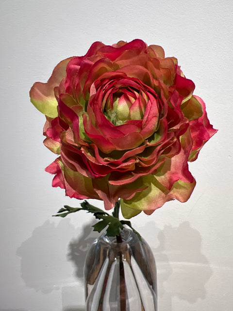 Ranonkel  51 cm roze/groen