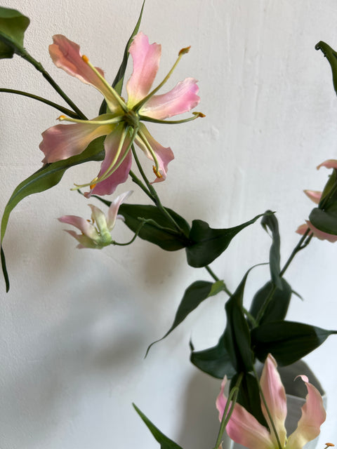 Gloriosa spray zacht roze 120 cm