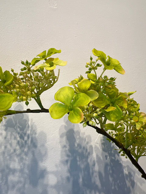 Hortensia lang groen 90 cm