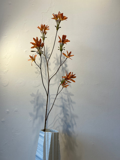 Nerine spray oranje 100 cm