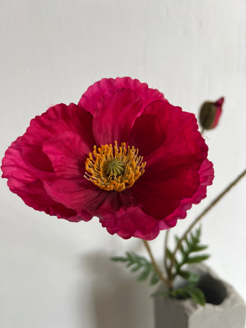 Papaver spray fuchsia 75 cm