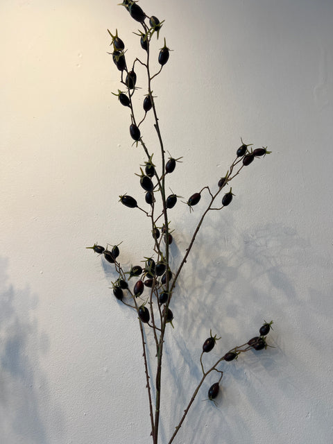 Rozenbottel tak zwart/paars 138 cm