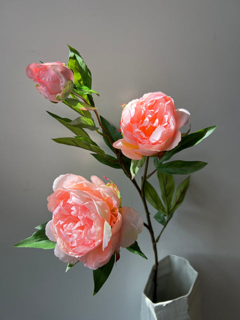 Pioenroos tak x3 peach 68 cm