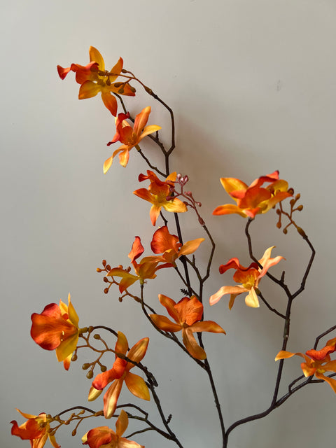 Orchidee Cymbidium oranje 90 cm