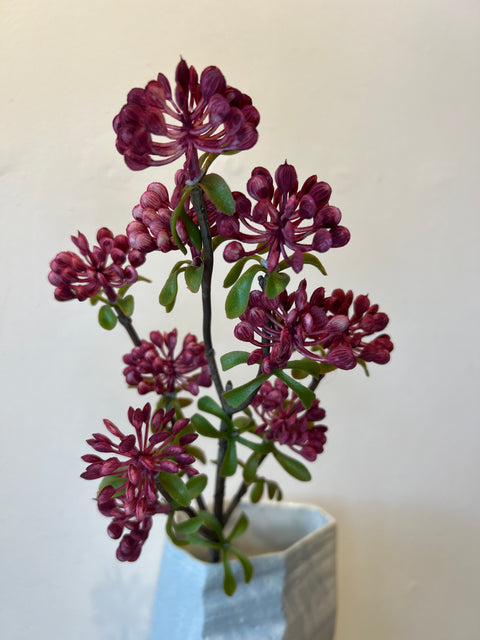 Sedum spray mauve 52 cm