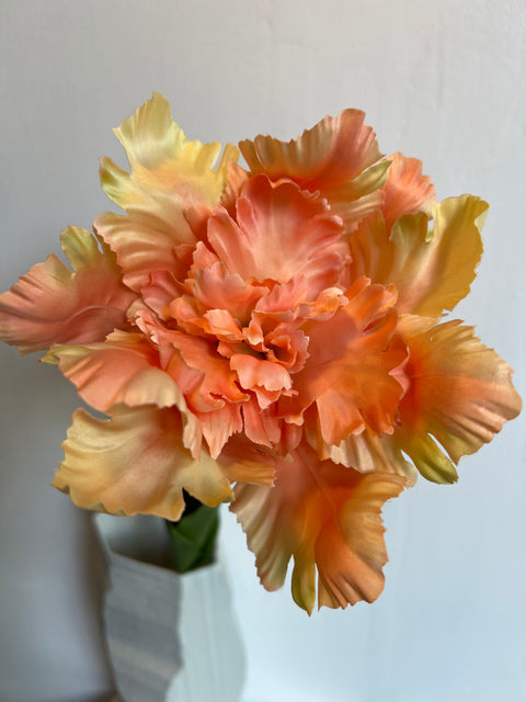Tulp paris orange 66 cm