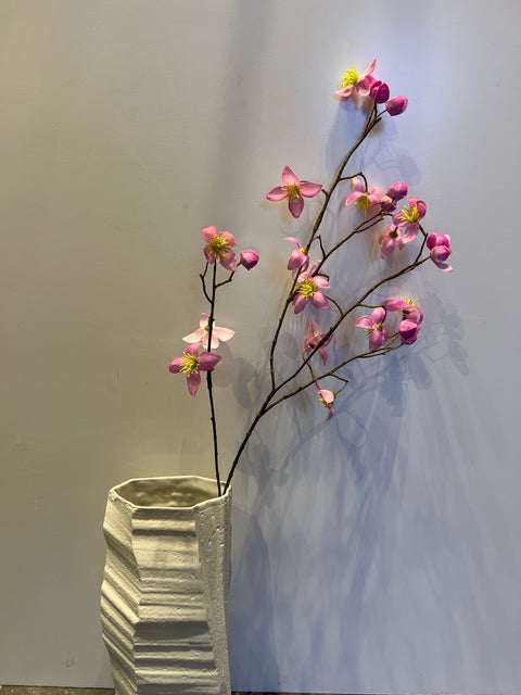 Thalictrum roze 78 cm