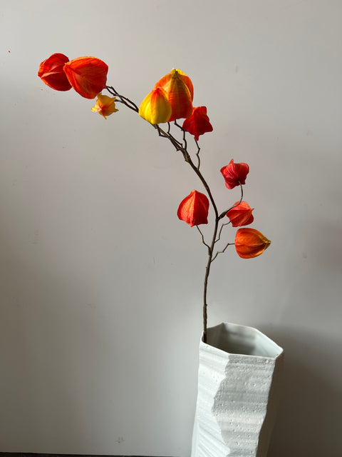 Physalis tak oranje/groen 80 cm