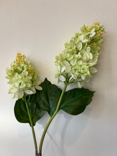 Sering tak wit/groen 80 cm