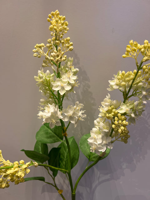 Sering tak wit 86 cm