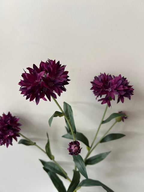 Korenbloem paars 64 cm