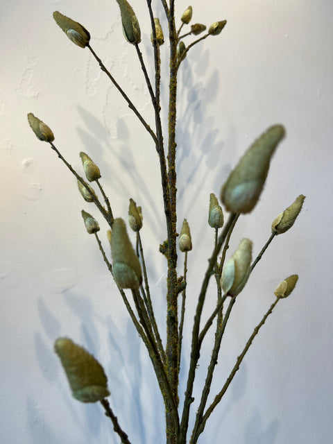 Magnolia Bud tak mosgroen 180 cm