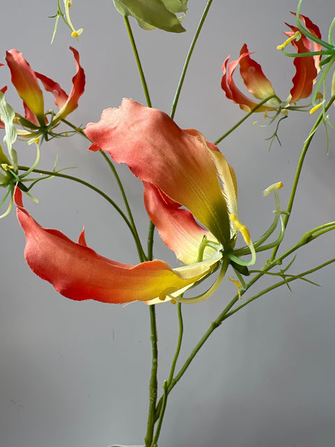Gloriosa tak rood/oranje/geel 110 cm