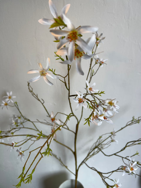 Forsythia tak wit 150 cm