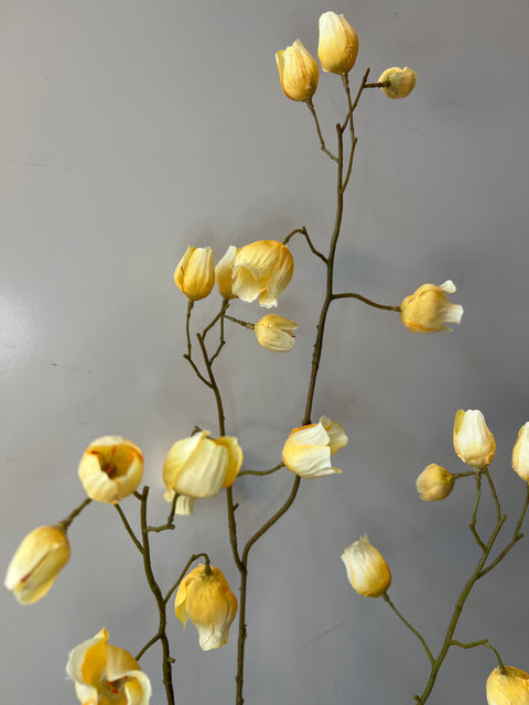Campanula tak vanille 93 cm