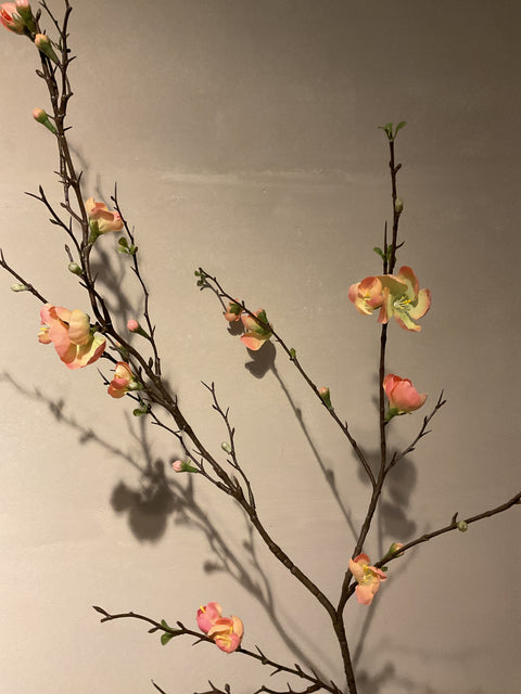 Quince blossom tak 125 cm peach