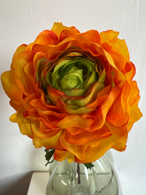 Ranonkel 50 cm oranje