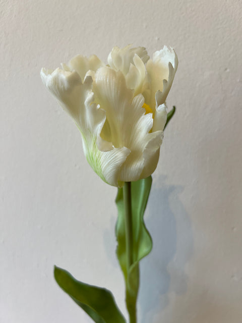 Tulp paris wit 52 cm