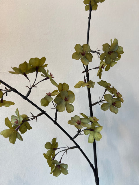 Bloesem tak x2 groen 112 cm