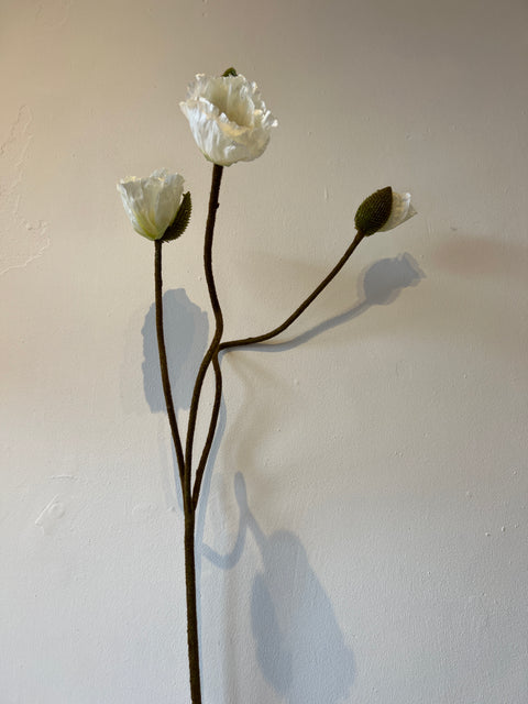 Papaver spray groot x3 105 cm wit