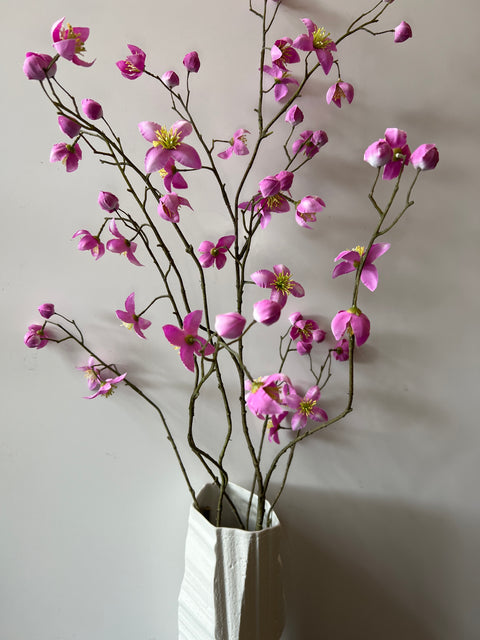 Thalictrum roze 101 cm