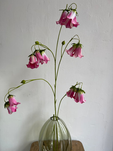 Cobea tak 110 cm beauty