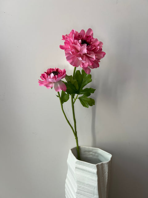 Ranonkel Japan pink 65 cm