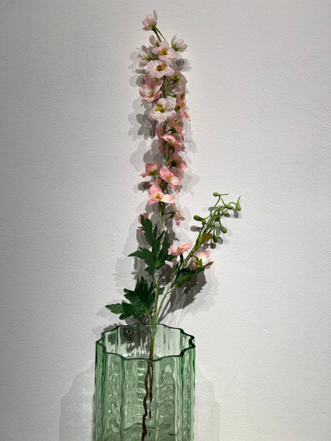 Delphinium  lichtroze  79 cm