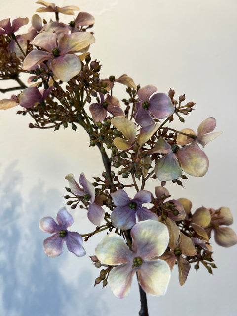 Hortensia lang mauve 90 cm
