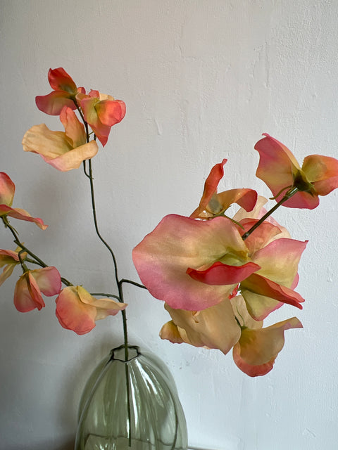 Sweetpea spray x3 peach 75 cm